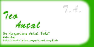 teo antal business card